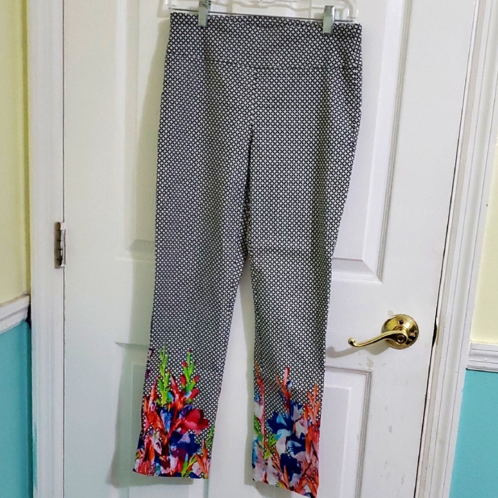Attyre Diamond & Colorful Floral Funky Fun Novelty Pull-On Skinny Pants